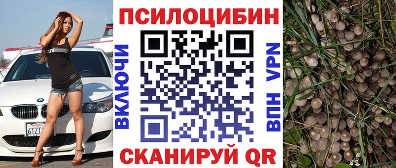 наркошоп  МЕГА ссылки  Псилоцибиновые грибы Psilocybine cubensis  Томилино 