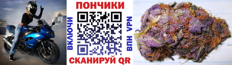 блэк спрут сайт  продажа наркотиков  Томилино  Бошки марихуана план 
